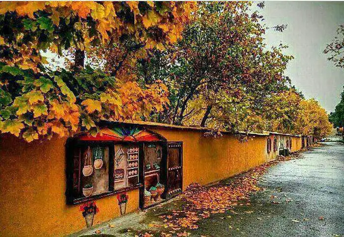 درختان سربه فلک کشیده به رنگ نارنجی پشت دیوار طراحی شده محله قصر دشت 454524