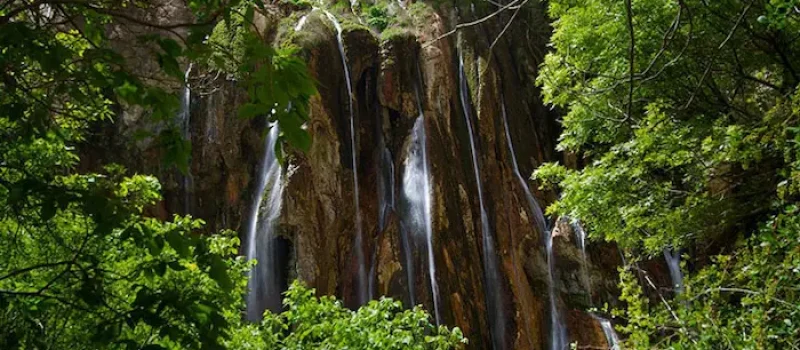 پوشش گیاهی سرسبز در کنار آبشار مارگون شیراز 5877846