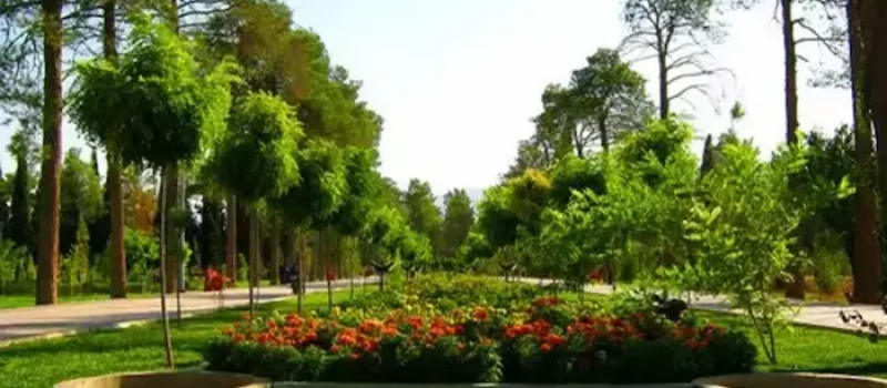 پوشش گیاهی و محوطه سازی سرسبز باغ جنت شیراز 78658575